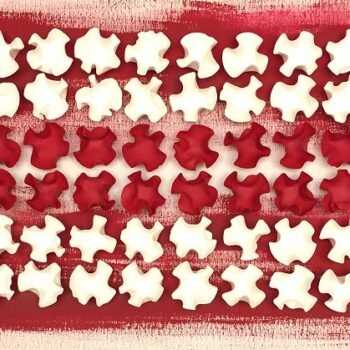 Integration Red&White Arte Roberta Bissoli